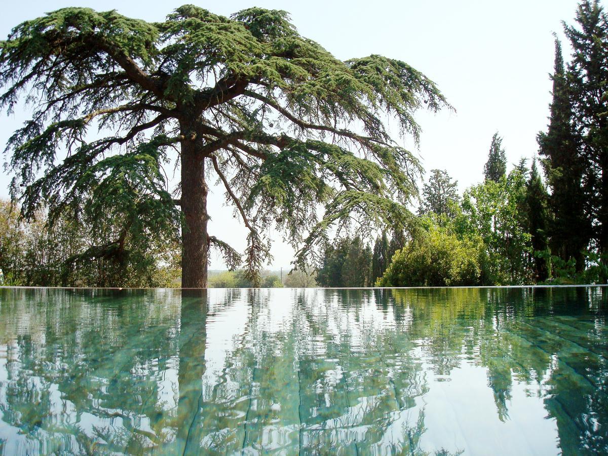 Bed And Breakfast La Grande Lauzade Le Luc Buitenkant foto